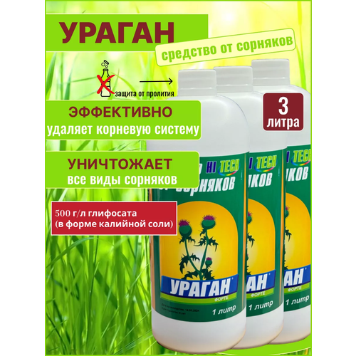 ���� ������ �������� �� �������� ��������