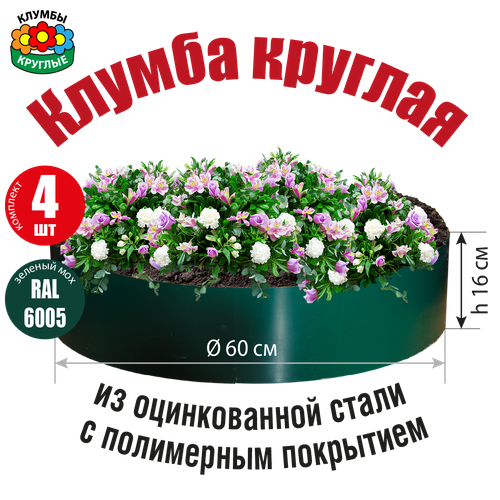 ���� ������ ������� ������� �� ������������ ����� � ���������� ���������