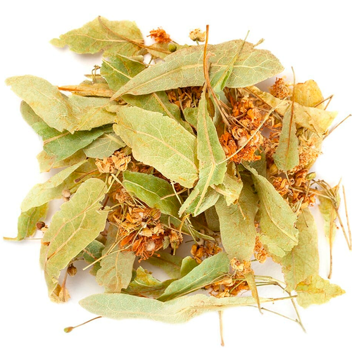 ���� ������ ���� ������������