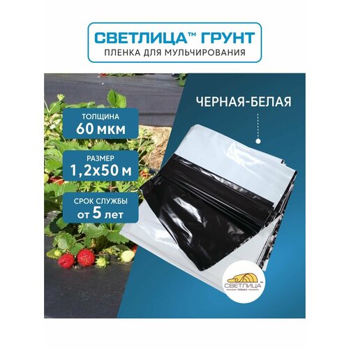 ���� ������ ��� ������������� �������� ����� 1,2x50 �, 60 ���, �������� ��������