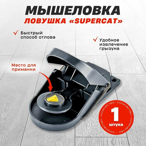 ���� ����������� ��������� SuperCat, 1 ��.