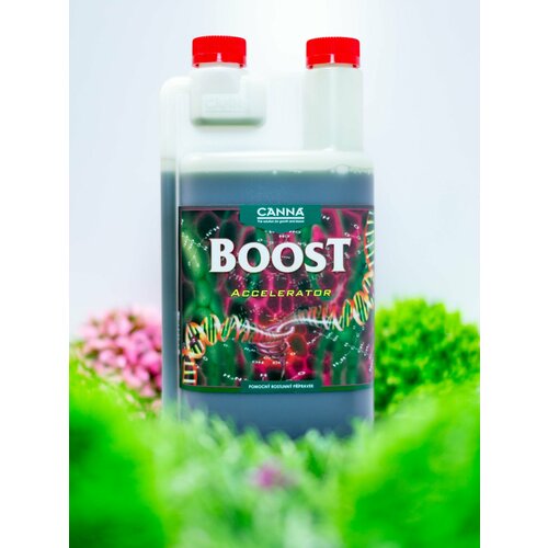 ���� ��������� - ���������� CANNABOOST Accelerator 1 �