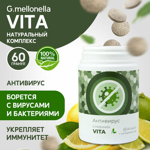 ���� ������� ���� - �������� �� ������ � ��������, ��� ����������, ������������ ���� � ��� 60 ������.