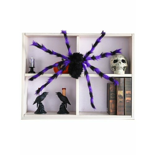 ���� ���������� �������� ���� 75 �� �������� ����������