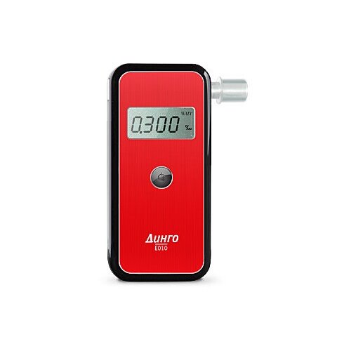 ���� ���������� ���������������� ����������� ����� �-010 (Dingo E-010)