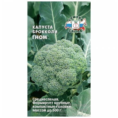 ���� ������� �������� ����