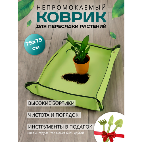 ���� ������ ��� ��������� �������� � ������