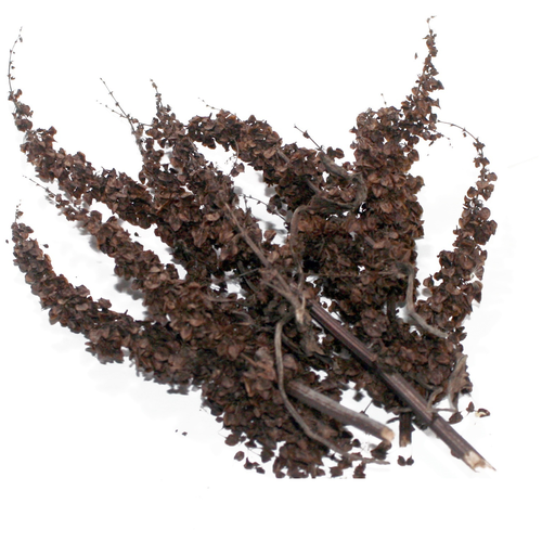 ���� ������� ������ �����, ������� ������� 100�