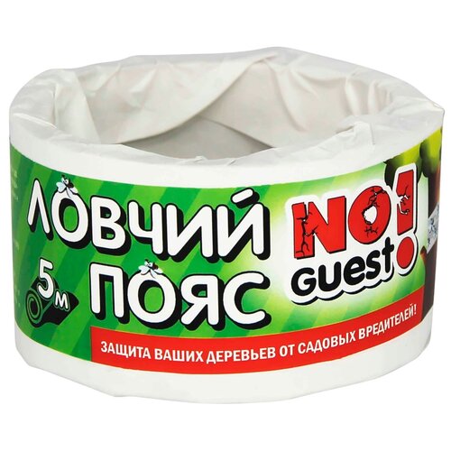   NoGuest!       , 100   -     , -  