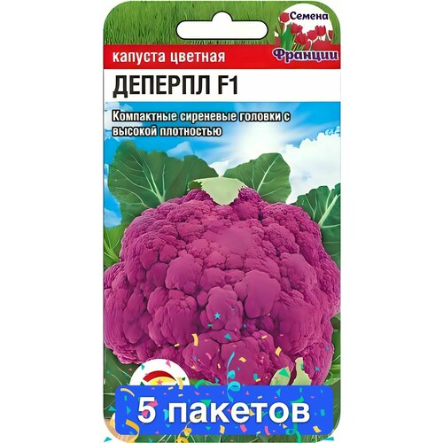 ���� ������ ������ ��������� ��� 