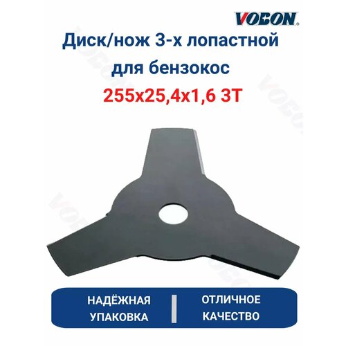 ���� ����-��� ��� ��������