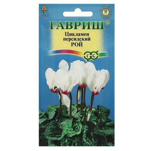 ���� ������ ������ �������� ���������� ��� (3 ��. �����)