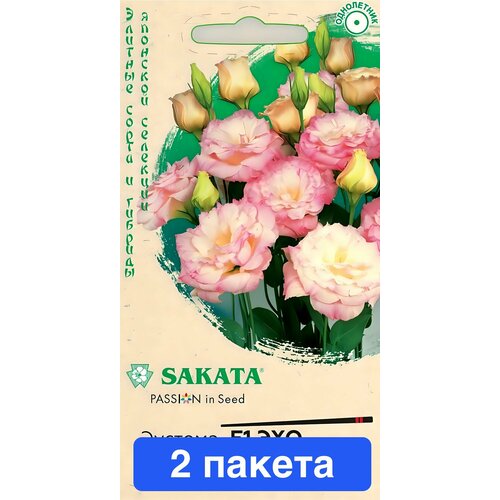 ���� ����� ������� ��� ������� F1 ����� ������ ��������� 2 ������