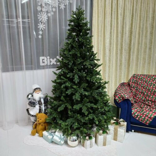 ���� ��� ������������� ���������� �����+���, 270 ��