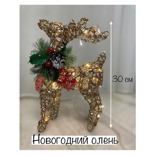 ���� ����� ����������