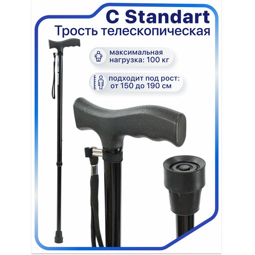 ���� C Standart ������ ������� ��� ������ � �-�������� ����������� ������ (������) ��� ��������, ������� ����� � ���������