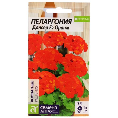 ���� ������ ������ ����� ���������� ������ F2 �����, 4 ��