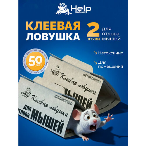 ���� ������� ������� Help, �� �����, ��������� ������, �����, 2 ��