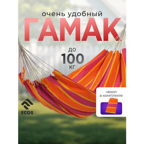 ���� ����� ECOS Ham-19