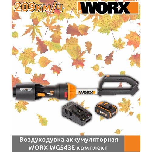     Worx WG543E, 20,  4  +  2