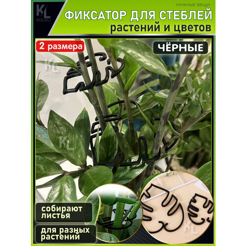 ���� KoLeli / �������� ��� ����� ������� � �������, �������� �����, ������