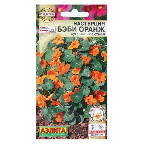 ���� ��������� ������ ������ ������ ��������� 