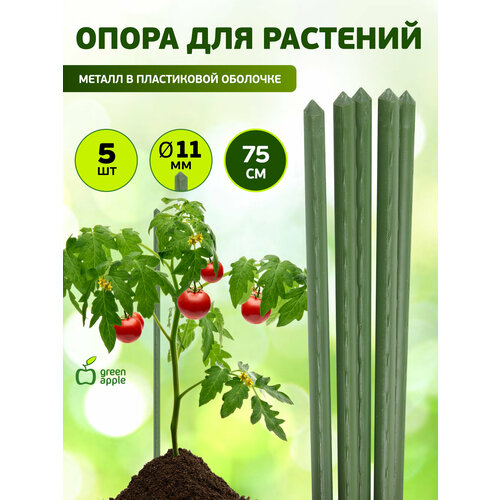 ���� GCSP-11-75 GREEN APPLE ��������� ������ � �������� 75�� ? 11�� 5�� (����� 5 ��) (20/800)