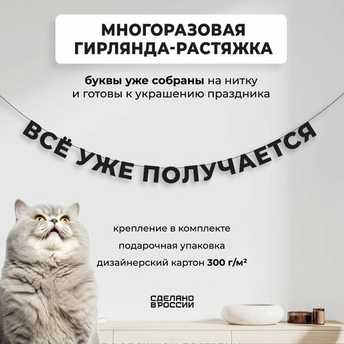 ���� ��������-�������� �������� �Ѩ ��� ���������� (220 ��) - ������ ����� � �������� ������� ���� ��� �������� ��������