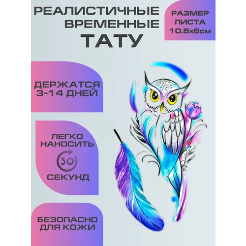 ���� ���������� ����������, ��������� ���� ���� � ����
