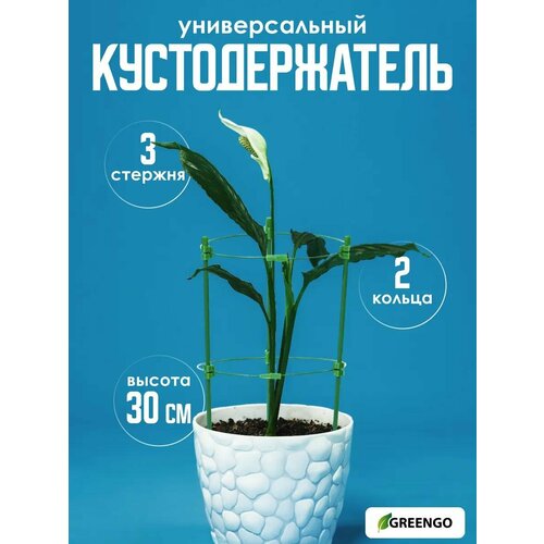 ���� ��������������, d = 18 ��, h = 30 ��, 2 ������, ������, ������, Greengo