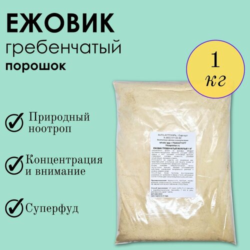 ���� ���� ������ 