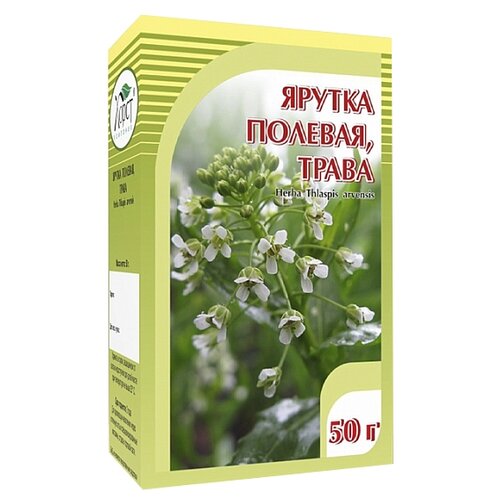 ���� ����� ����� ������ �������