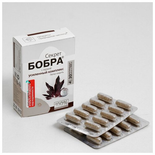 ���� ����������� ������� 