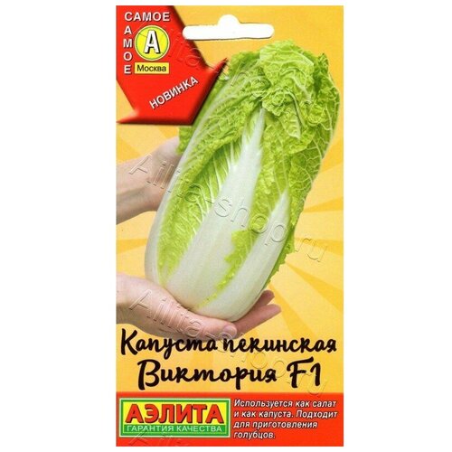 ���� ������. ������� ��������� 