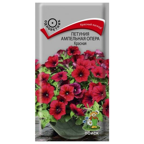 ���� ������ ����� ������� ��������� ����� ������� 5 ��.