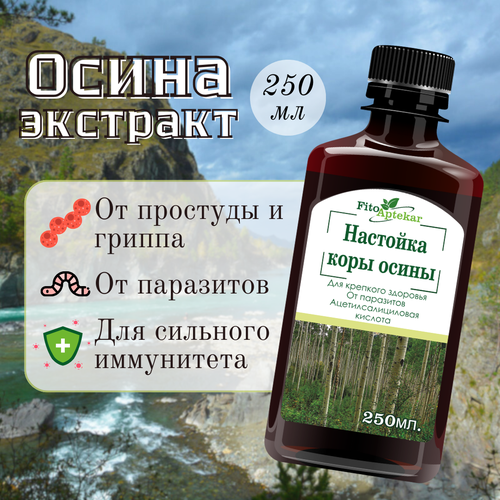 ���� �������� ���� ����� 249��