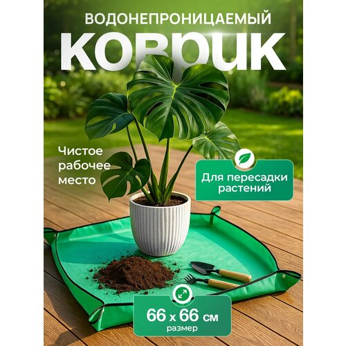 ���� ������ ��� ��������� �������� iulkapu, ��� �������, �������, ����������, 66 �� � 66 ��