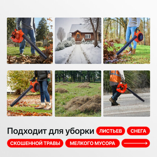 ���� ���������� ������������ Belmax