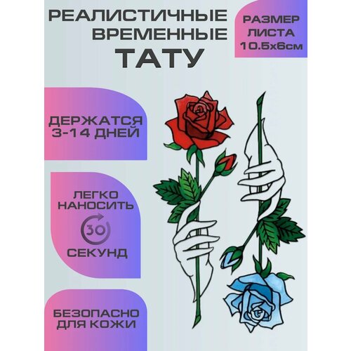 ���� ���� ���������� ��������������, ��������� ���� ���� � ����