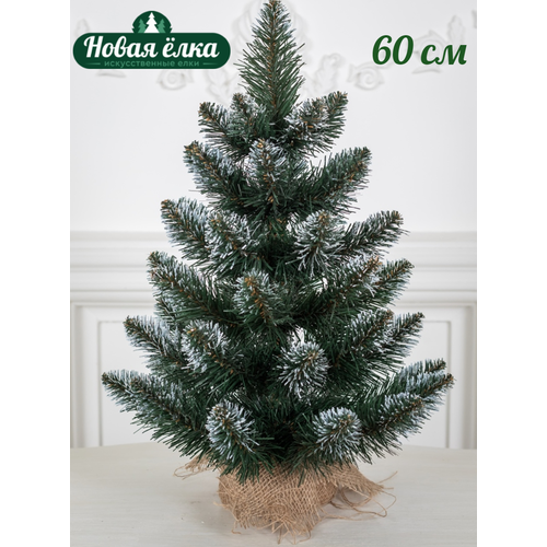 ���� ��� ������������� ��� 