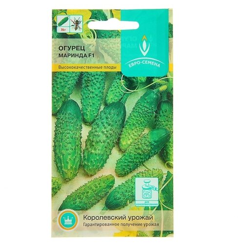 ���� ������ ������� F1. ������. 1 ����� 10 ��. ����� ���������� �������������� ������������� ����������� ��������.