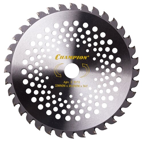���� ���� CHAMPION C5172 Speed 25.4 ��