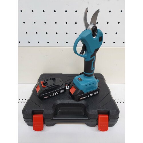 ���� �������������� �������-�������� Smart, 21 �, 2 �*�, 2 ������������, ����