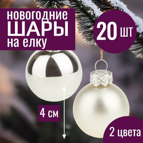 ���� ���� �� ���� ���������� 4�� ����� ������� ������� ������ 20 �� �����������