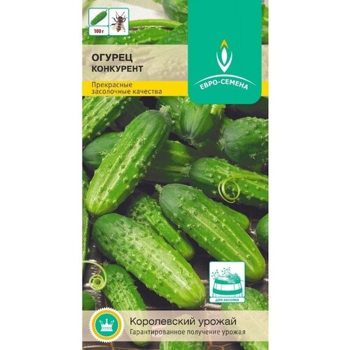 ���� ������ ���������. ������. ����������� �������������� ���� ��� ��������� ������. ����� 10-14 ��. ������