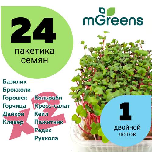  Home Market Green /      24     