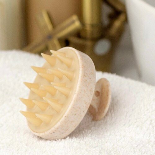 ���� ��������� ����� ��� ����� ����� � ���� ������ ����������� �������