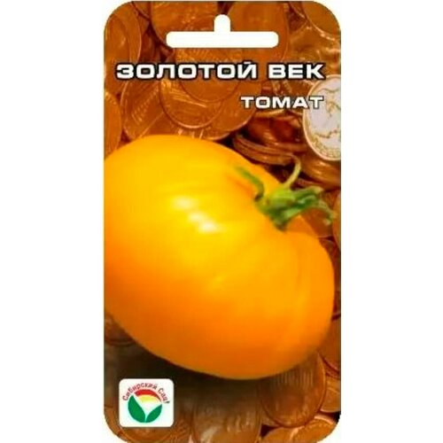 ���� ������ ����� ������� ��� 20�� ��� (��������� ���)