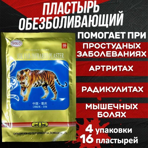 ���� �������� �������������� ���������, �� �������� ������, �������� ������������� �� ���� � ����� � ��������, ��������, 4 �������� 16 ����