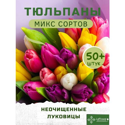     ,  , 50+ (LeFlower)  -     , -  